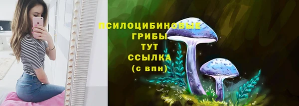 кокс Абаза