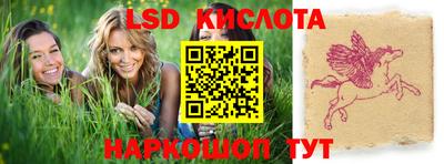 гашик Жуковский