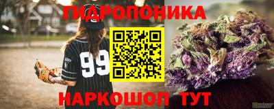 прущие грибы Заводоуковск